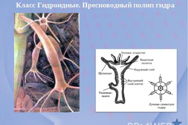 Мега зеркала тор онион мориарти кракен