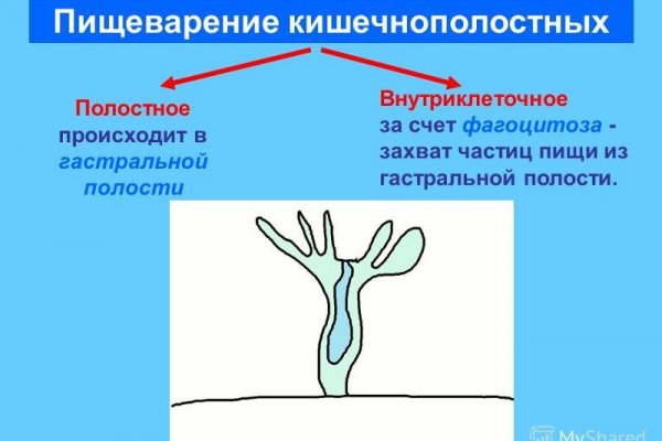 Кракен маркет даркнет только через торг