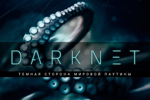 Kraken 14 at