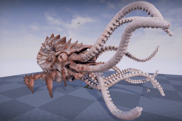 Kraken 24at